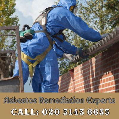 Asbestos Remediation Experts Notting Hill