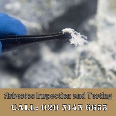 Comprehensive Asbestos Inspection and Testing Services in Notting Hill